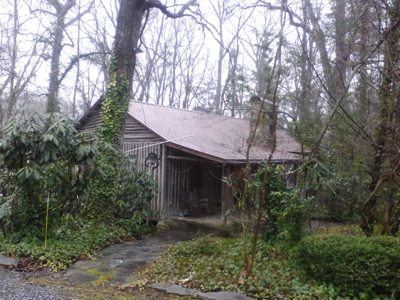 Weathered metal roof on an old board sided cabin in the woods in Pickerington